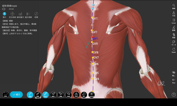 Screenshot_20250412-093609.png